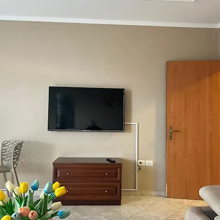 公寓 Center View Apartament 地拉那